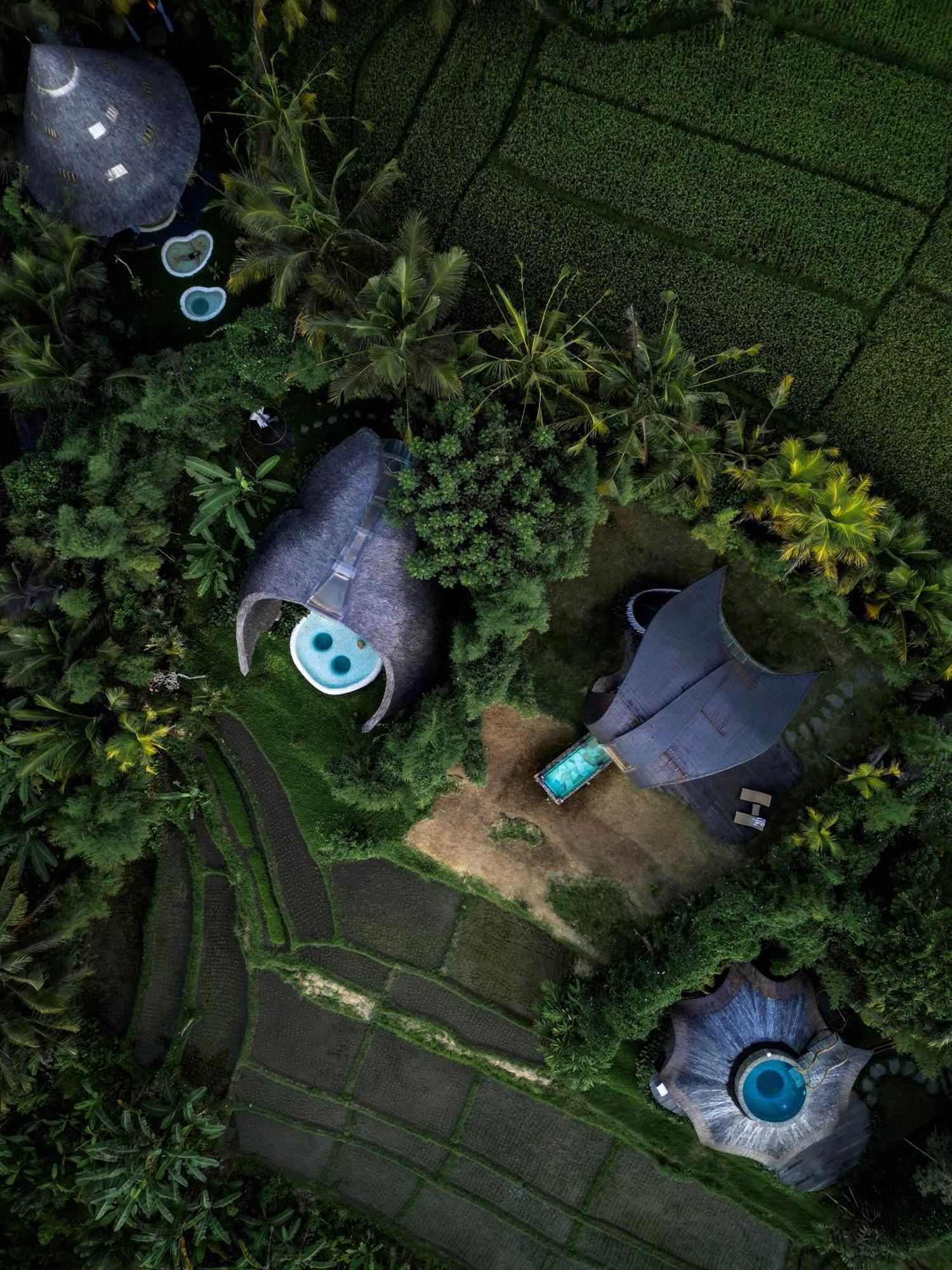 Veluvana Bali 시데멘 외부 사진